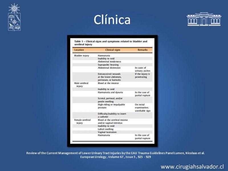 Diapositiva 10 de Trauma Uretral