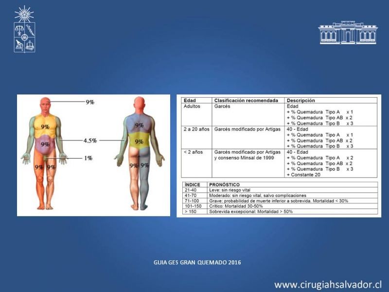 Diapositiva 6 de Manejo Médico del Gran Quemado