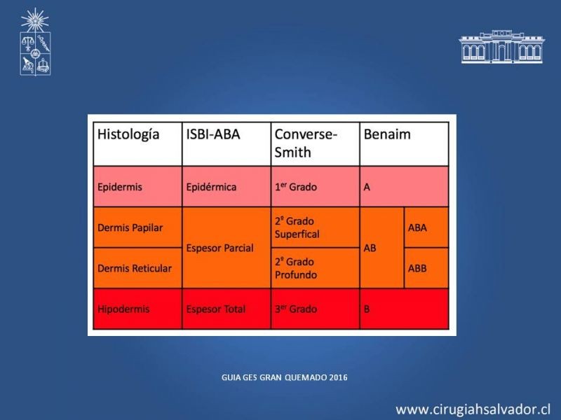 Diapositiva 5 de Manejo Médico del Gran Quemado