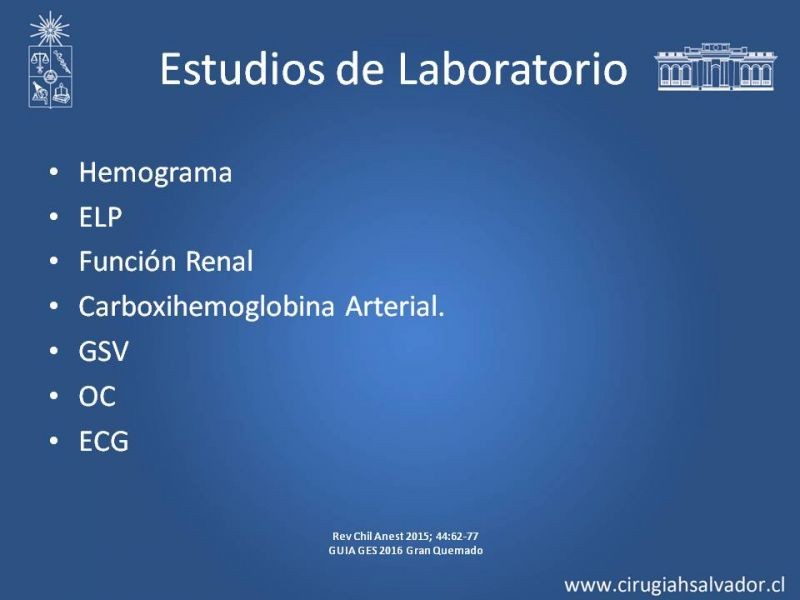 Diapositiva 20 de Manejo Médico del Gran Quemado
