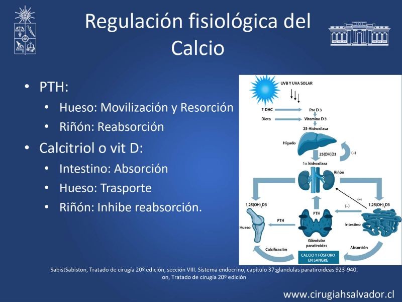 Diapositiva 4 de Hipocalcemia post cirugía tiroidea 