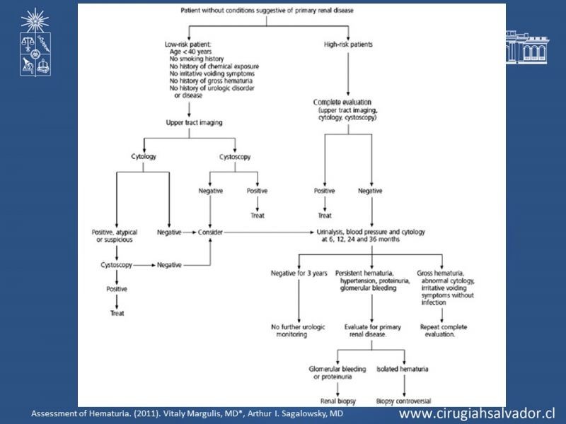 Diapositiva 16 de Hematuria: Hematuria-Urológica-Urgencias