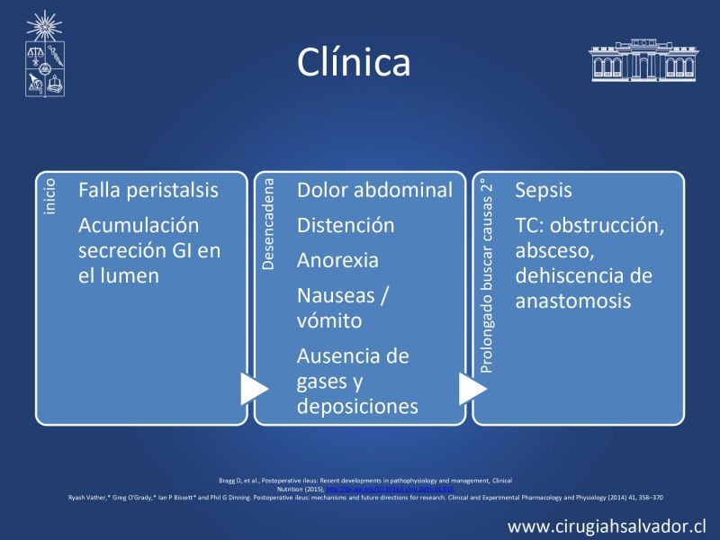 Diapositiva 4 de Ileo postoperatorio