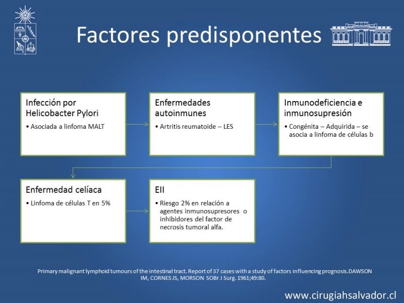 Diapositiva 15 de Caso Clínico: Linfoma Gástrico