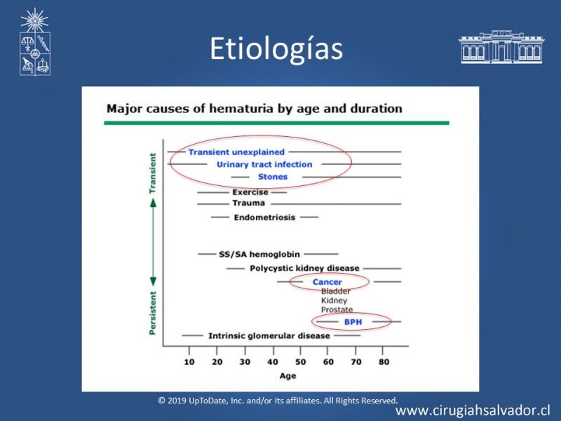 Diapositiva 8 de Hematuria: Hematuria-Urológica-Urgencias