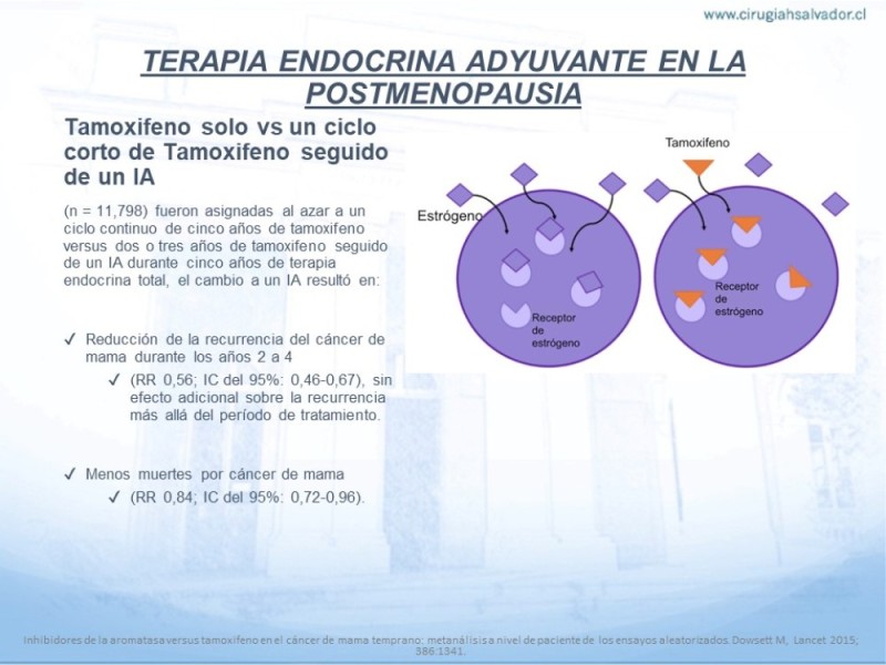 Diapositiva 19 de Terapia Endocrina en Cáncer de Mama con Receptores Hormonales (+) No Avanzados
