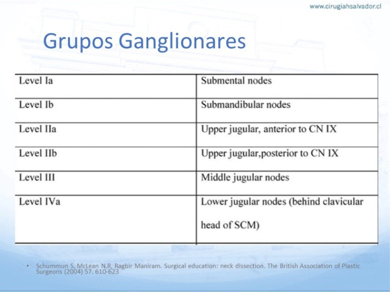 Diapositiva 15 de Disección Ganglionar Cervical: Historia y Bases Anatómicas
