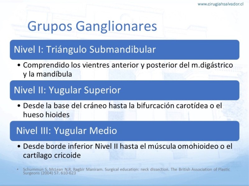 Diapositiva 13 de Disección Ganglionar Cervical: Historia y Bases Anatómicas