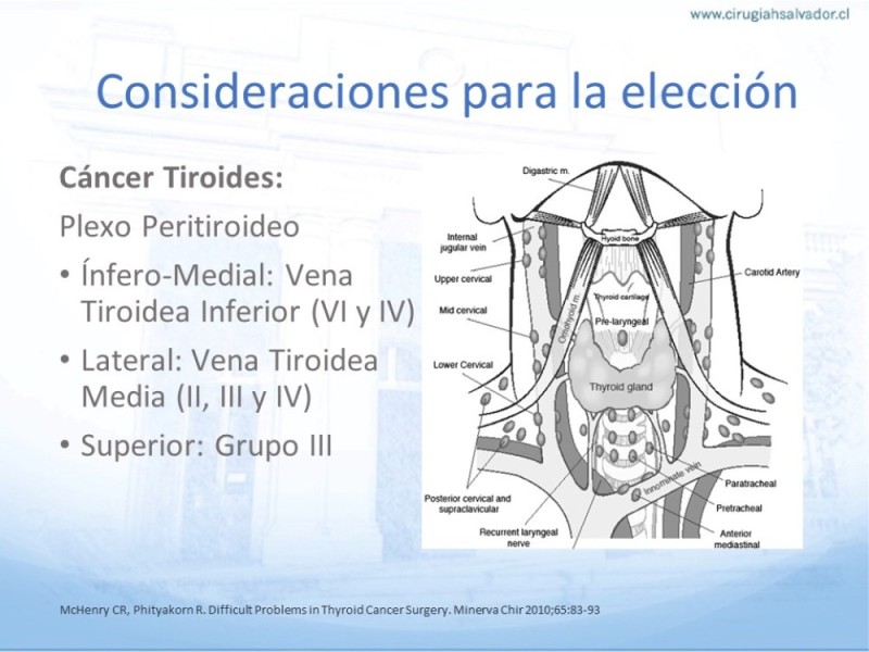 Diapositiva 21 de Disección Ganglionar Cervical: Historia y Bases Anatómicas