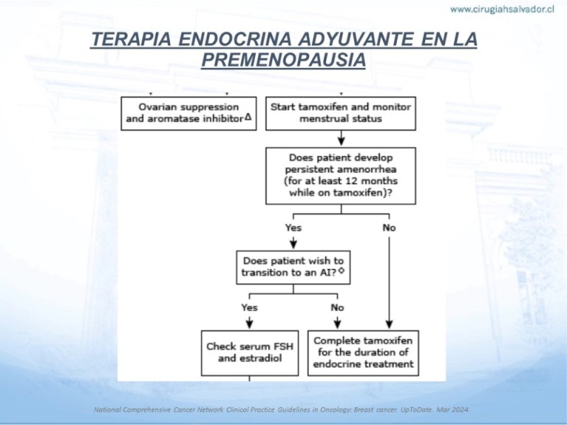 Diapositiva 13 de Terapia Endocrina en Cáncer de Mama con Receptores Hormonales (+) No Avanzados