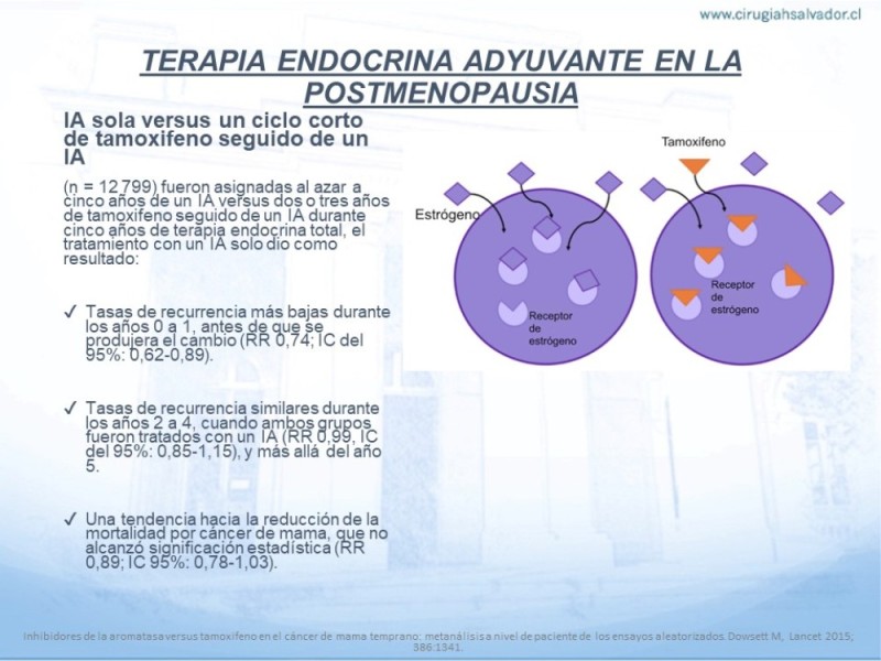 Diapositiva 20 de Terapia Endocrina en Cáncer de Mama con Receptores Hormonales (+) No Avanzados