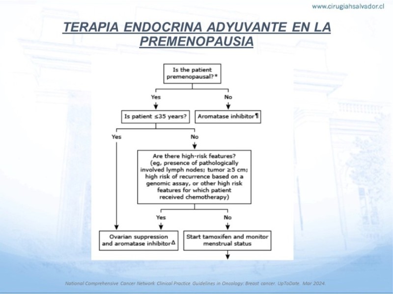 Diapositiva 12 de Terapia Endocrina en Cáncer de Mama con Receptores Hormonales (+) No Avanzados