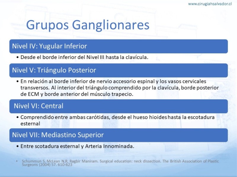 Diapositiva 14 de Disección Ganglionar Cervical: Historia y Bases Anatómicas