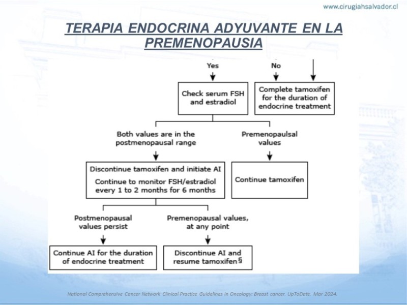Diapositiva 14 de Terapia Endocrina en Cáncer de Mama con Receptores Hormonales (+) No Avanzados