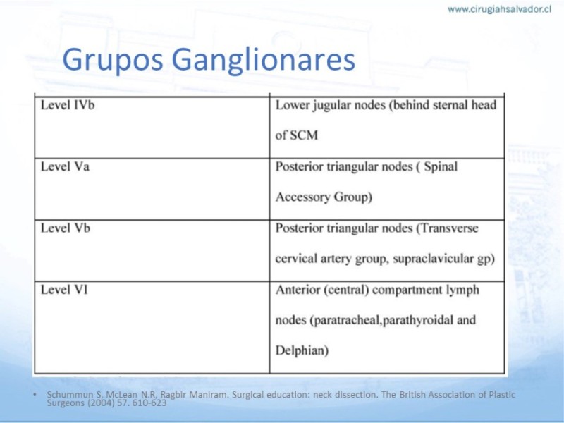 Diapositiva 16 de Disección Ganglionar Cervical: Historia y Bases Anatómicas