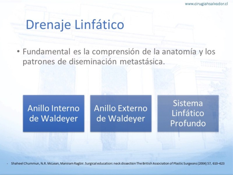 Diapositiva 9 de Disección Ganglionar Cervical: Historia y Bases Anatómicas