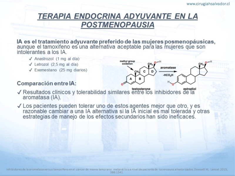 Diapositiva 17 de Terapia Endocrina en Cáncer de Mama con Receptores Hormonales (+) No Avanzados