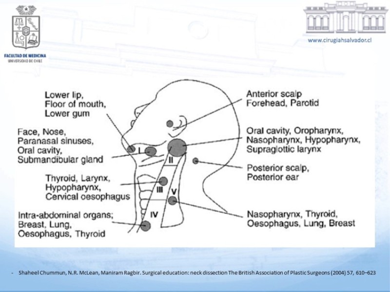 Diapositiva 10 de Disección Ganglionar Cervical: Historia y Bases Anatómicas