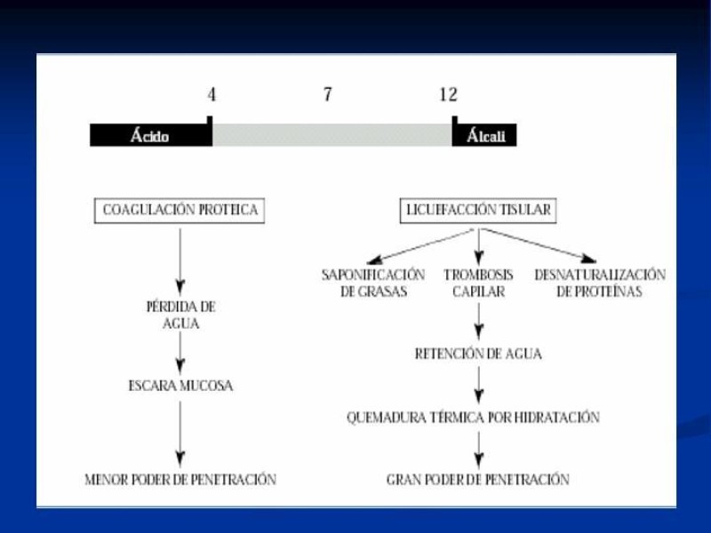 Diapositiva 7 de Lesiones Esofágicas por Cáusticos