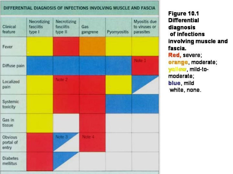 Diapositiva 12 de Fasceitis necrotizante