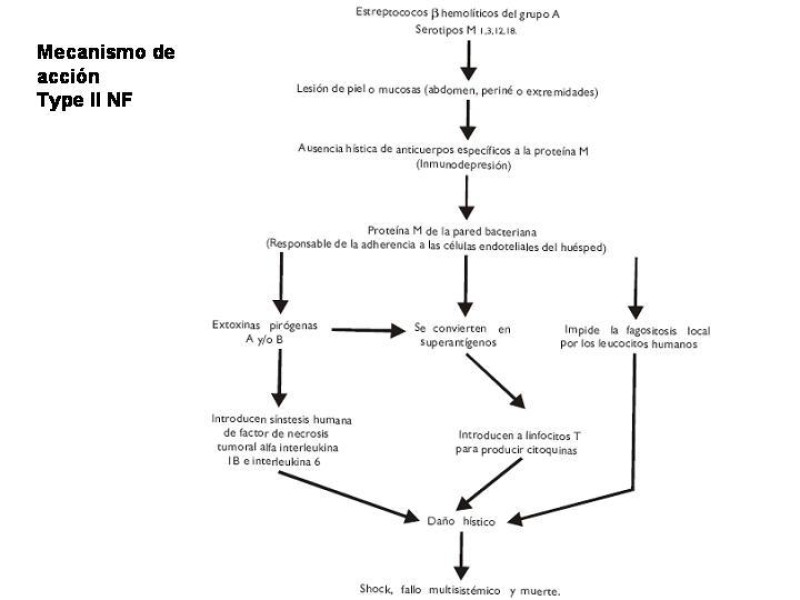 Diapositiva 8 de Fasceitis necrotizante