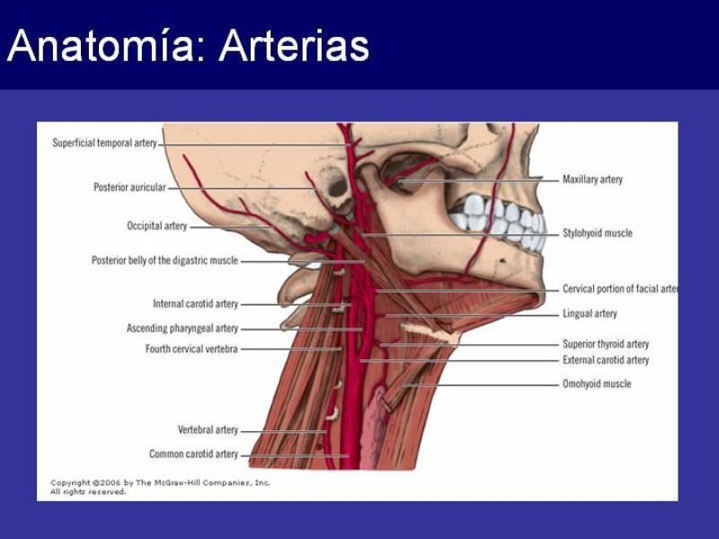 Diapositiva 10 de Trauma Cervical Penetrante