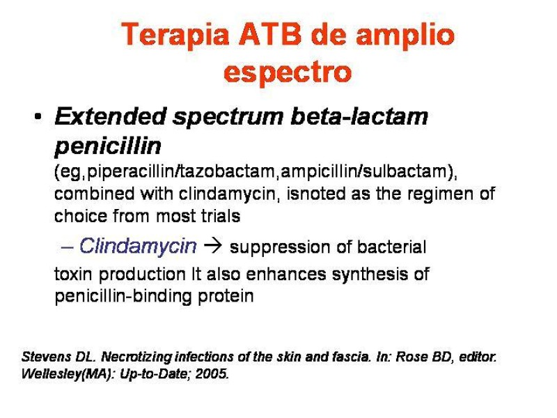 Diapositiva 22 de Fasceitis necrotizante