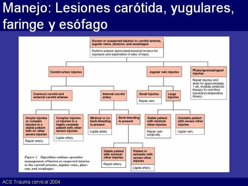 Diapositiva 29 de Trauma Cervical Penetrante