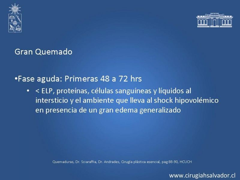 Diapositiva 8 de Gran Quemado: Manejo primeras 24hrs
