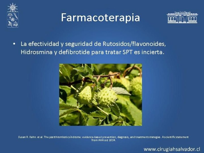 Diapositiva 16 de Síndrome Postrombótico