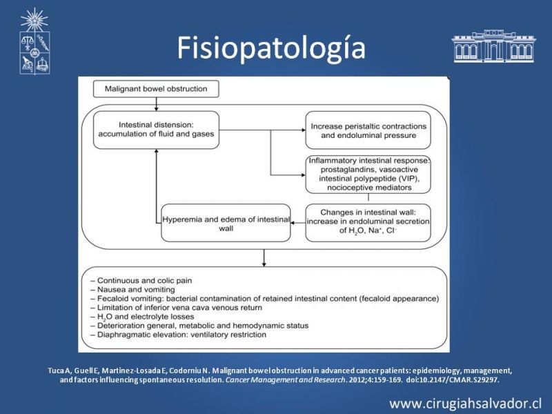 Diapositiva 5 de Obstrucción intestinal neoplásica asociada a carcinomatosis peritoneal