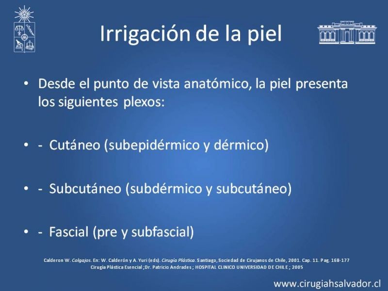 Diapositiva 3 de Colgajos musculocutáneos