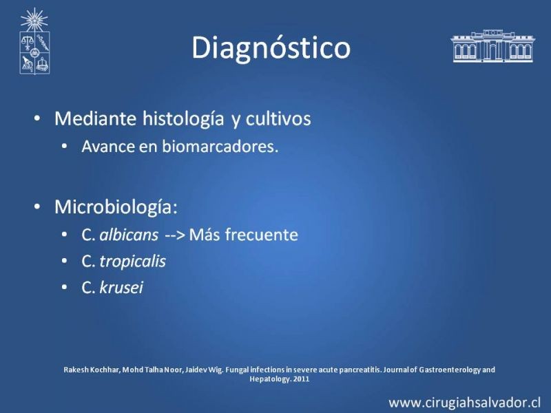 Diapositiva 17 de Antibióticos y antifúngicos en Pancreatitis: Indicaciones y tratamiento