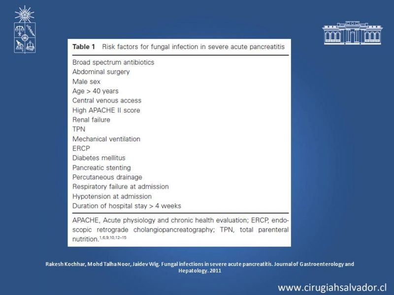 Diapositiva 15 de Antibióticos y antifúngicos en Pancreatitis: Indicaciones y tratamiento