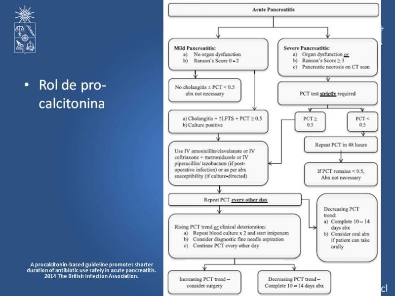 Diapositiva 12 de Antibióticos y antifúngicos en Pancreatitis: Indicaciones y tratamiento