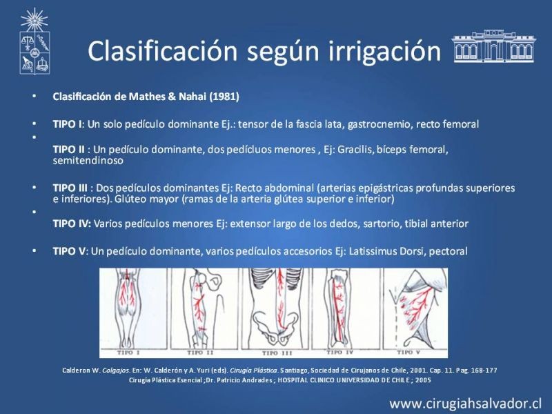 Diapositiva 8 de Colgajos musculocutáneos