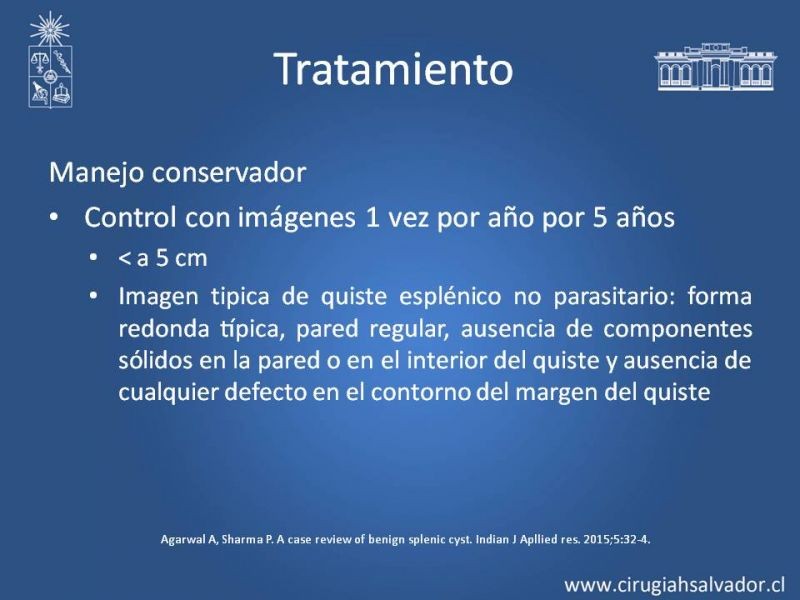 Diapositiva 14 de Quistes esplénicos