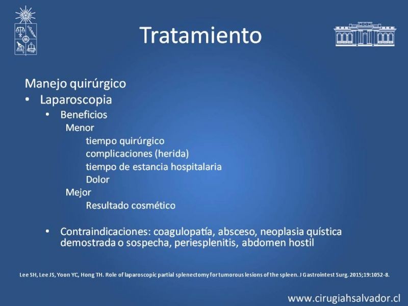 Diapositiva 16 de Quistes esplénicos