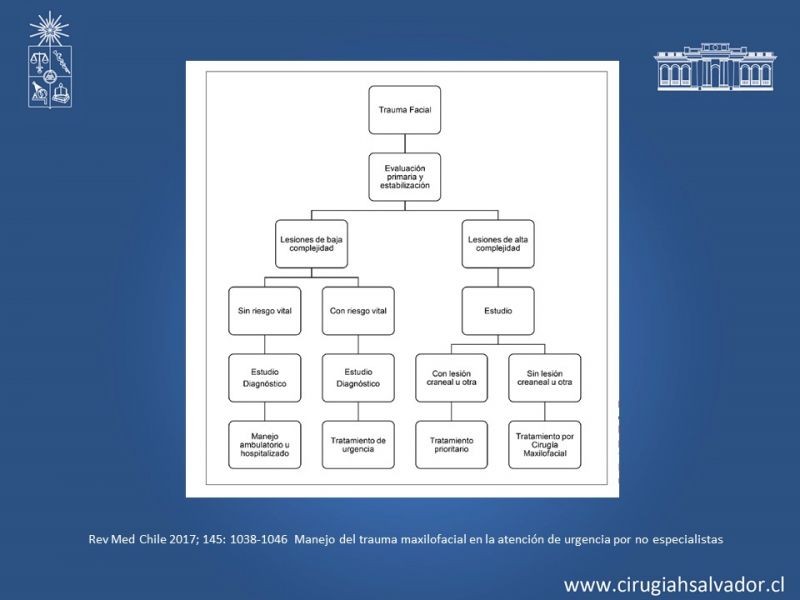 Diapositiva 12 de Trauma Maxilofacial