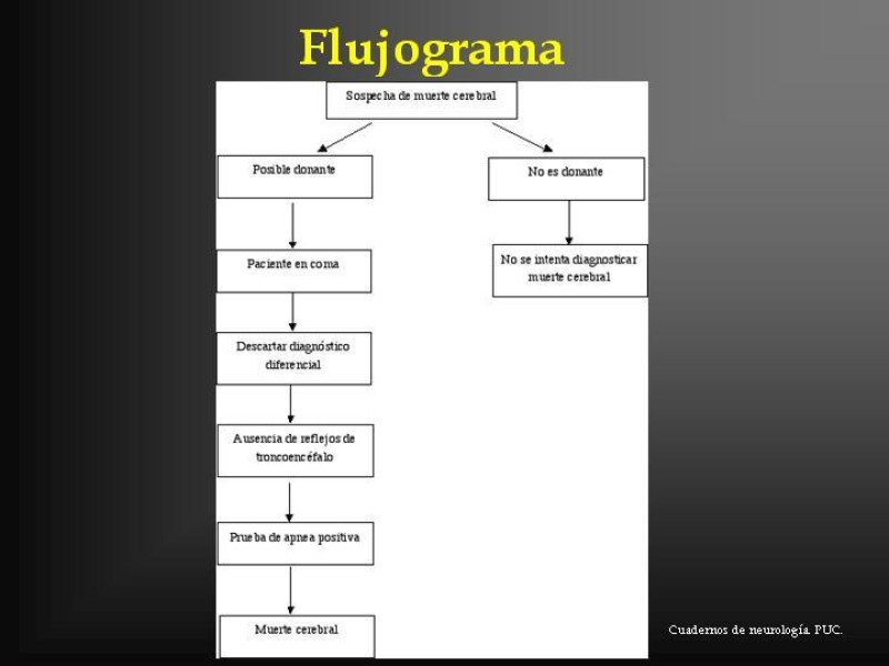 Diapositiva 31 de Muerte cerebral