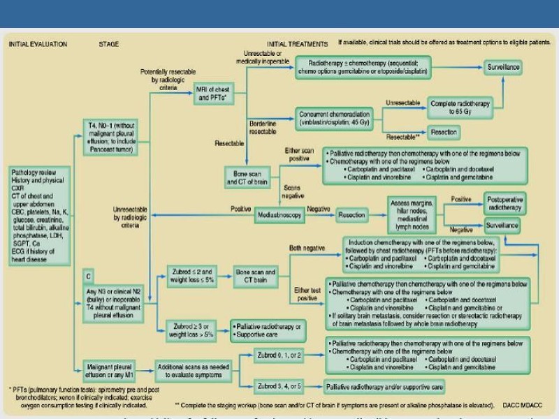 Diapositiva 33 de Cáncer Pulmonar