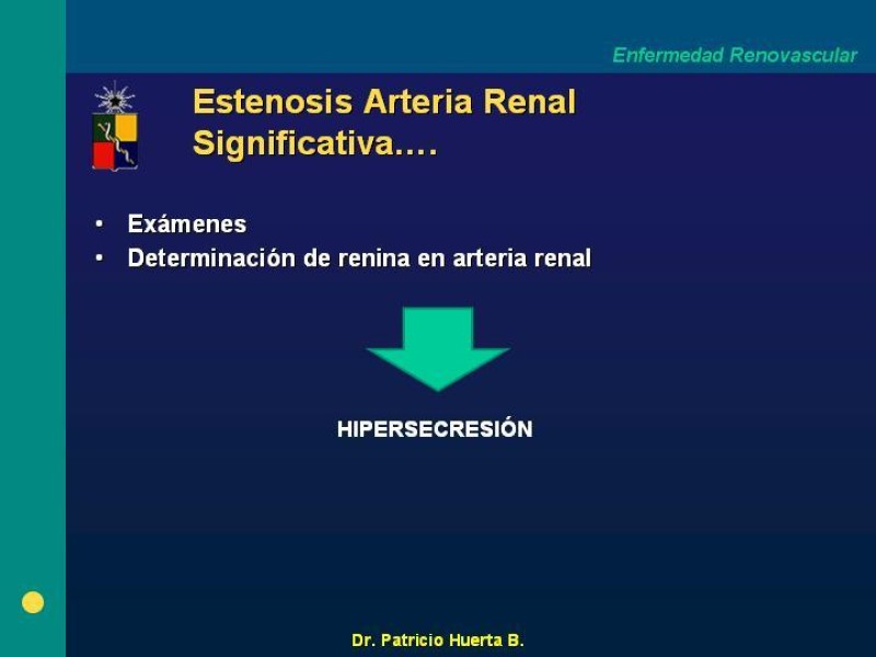 Diapositiva 14 de Enfermedad renovascular (ERV)