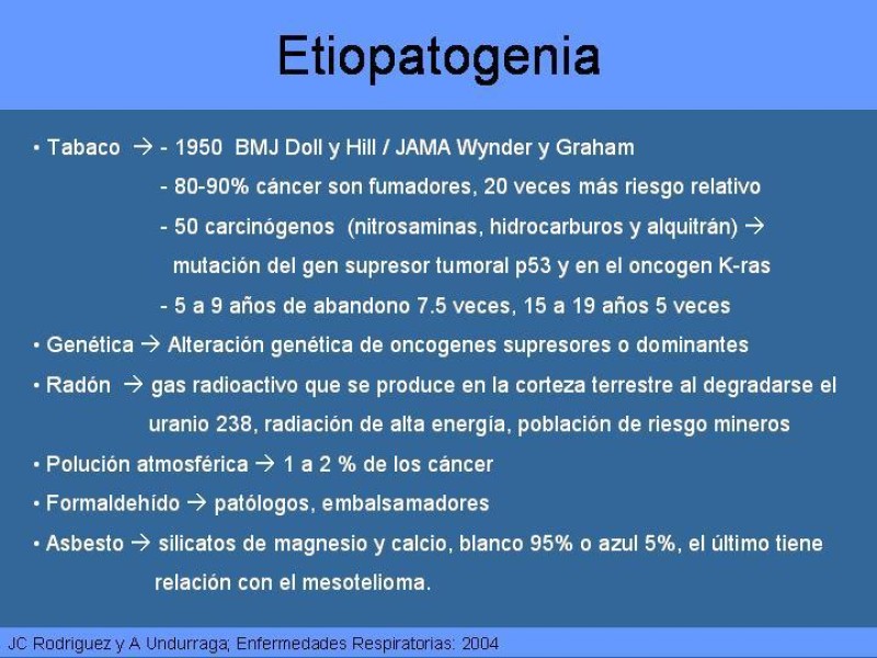 Diapositiva 3 de Cáncer Pulmonar