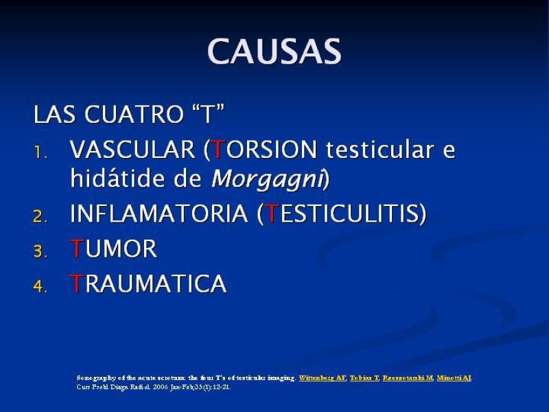 Diapositiva 3 de Síndrome de escroto agudo