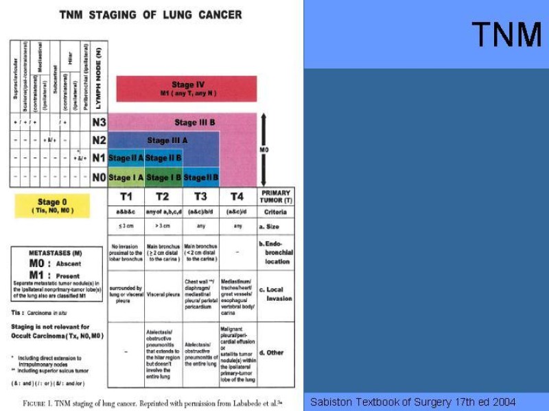 Diapositiva 30 de Cáncer Pulmonar