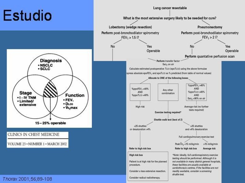 Diapositiva 21 de Cáncer Pulmonar
