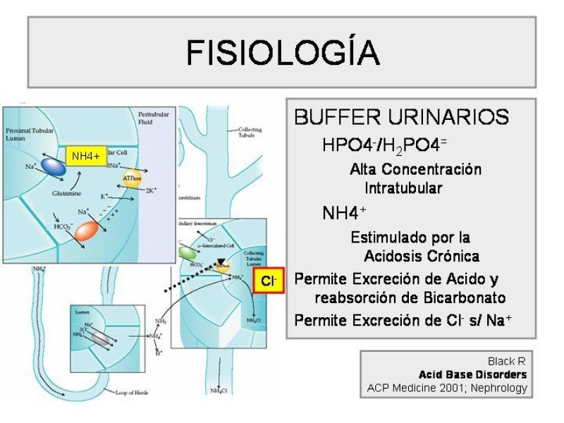 Diapositiva 5 de Trastorno Acido / Base