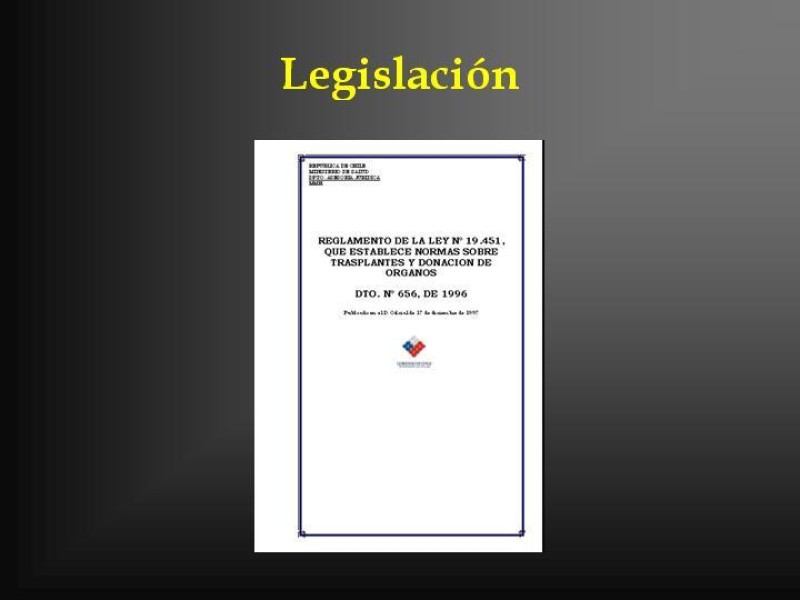 Diapositiva 14 de Muerte cerebral