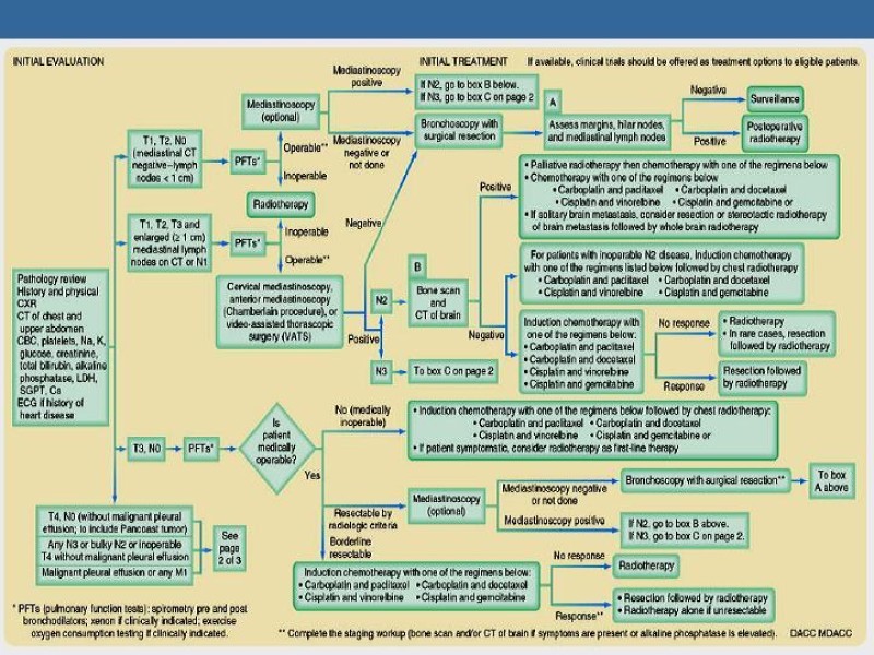 Diapositiva 32 de Cáncer Pulmonar