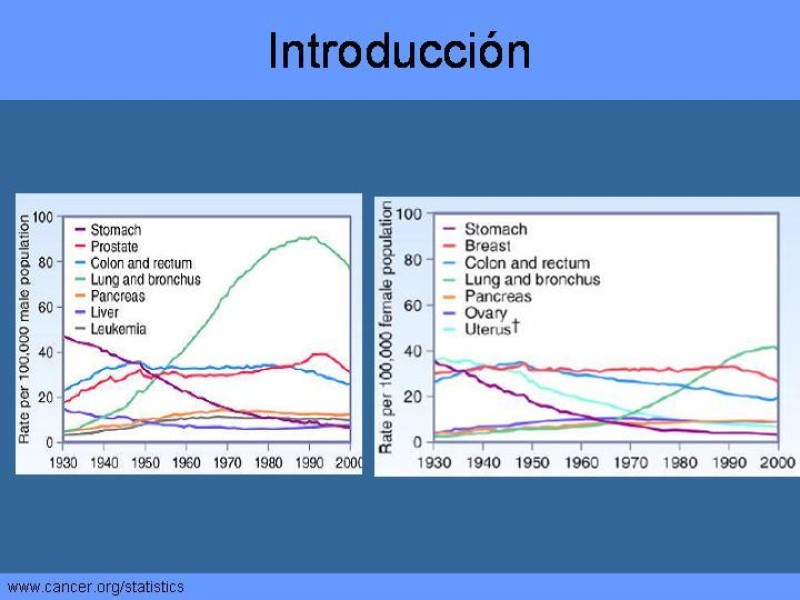 Diapositiva 2 de Cáncer Pulmonar